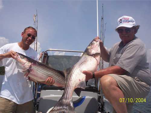 Nice Striped Bass