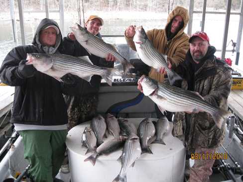 Nice Striped Bass