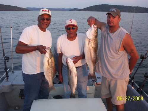 Nice Striped Bass