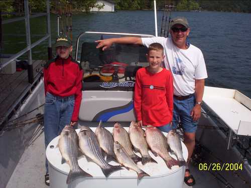 Nice Striped Bass