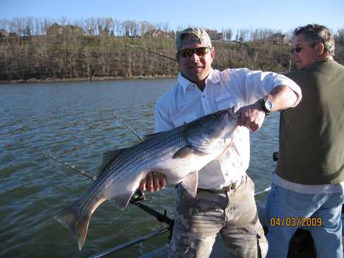 Nice Striped Bass