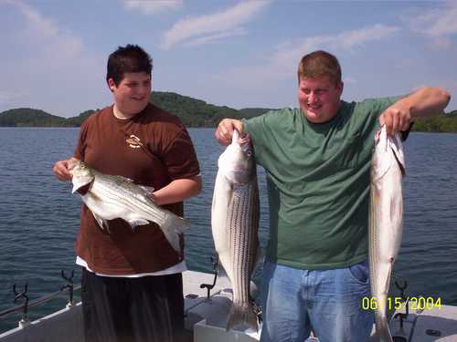 Nice Striped Bass