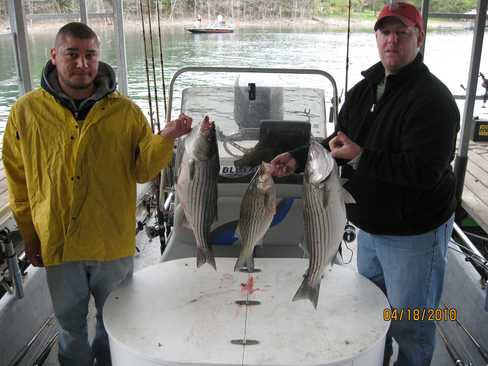 Nice Striped Bass