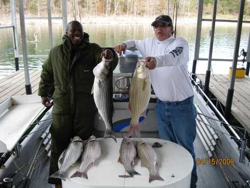 Nice Striped Bass