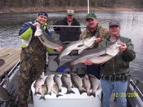 Nice Striped Bass