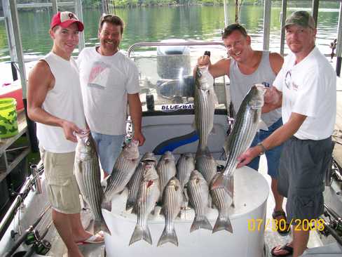 Nice Striped Bass