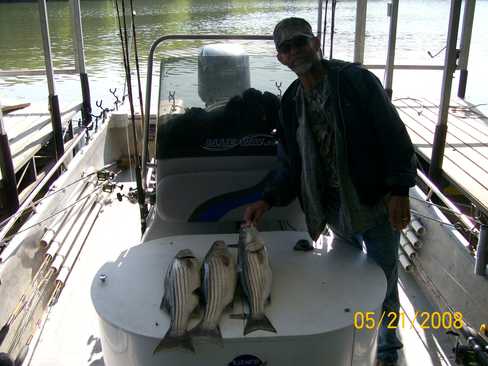 Nice Striped Bass