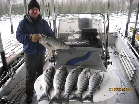 Nice Striped Bass