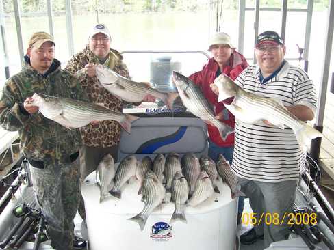 Nice Striped Bass