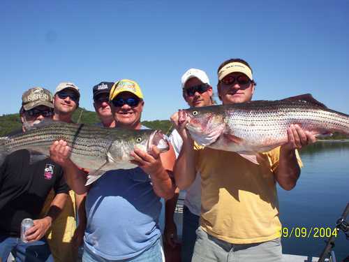 Now that is a Hog Striper