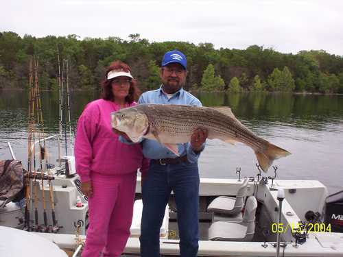 Now that is a Hog Striper