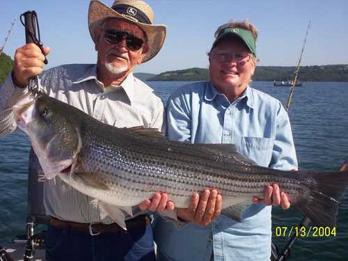 Nice Striped Bass