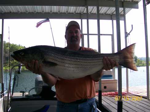 Nice Striped Bass