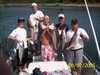 (08/07/2005) - Nice Striped Bass