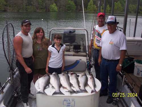 Nice Striped Bass