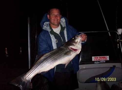 Excellent Striper Fishing