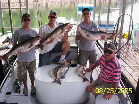 Nice Striped Bass