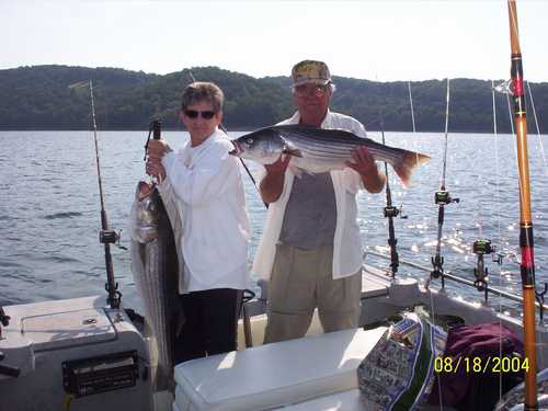 Nice Striped Bass