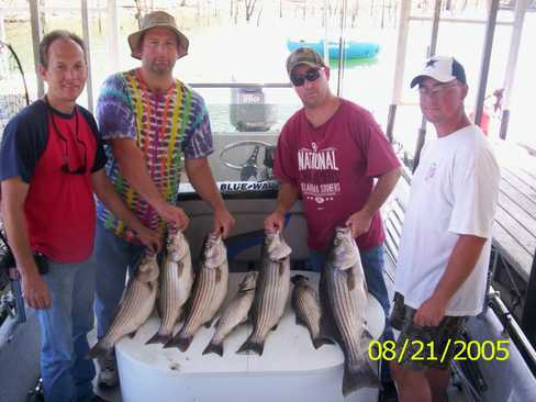 Nice Striped Bass