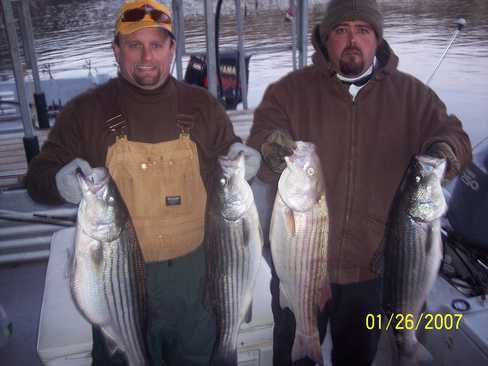 Nice Striped Bass