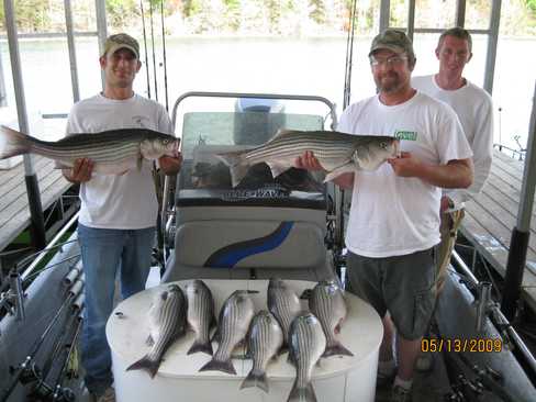 Nice Striped Bass