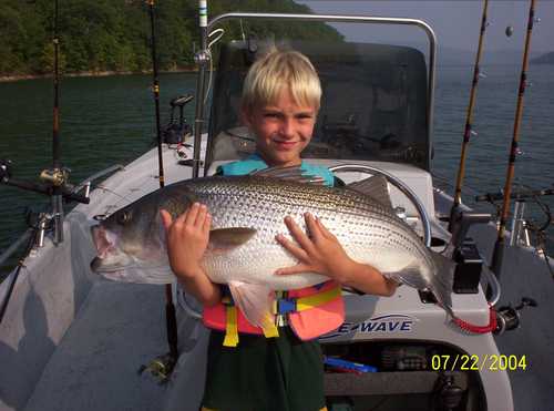 Nice Striped Bass