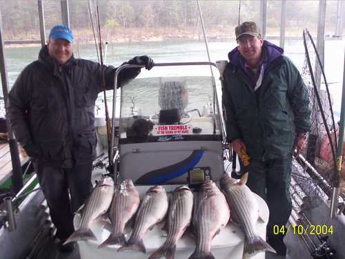 Nice Striped Bass