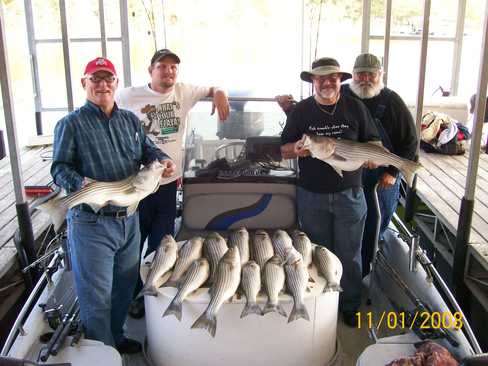 Nice Striped Bass