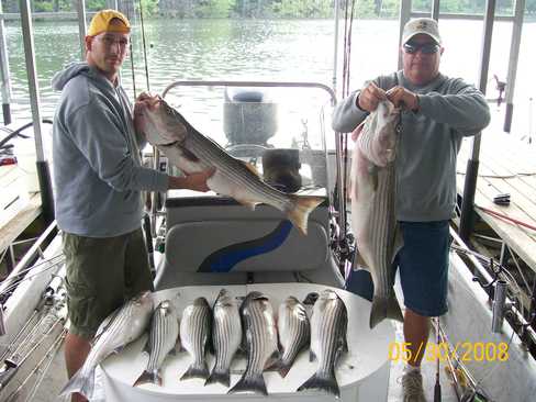 Nice Striped Bass