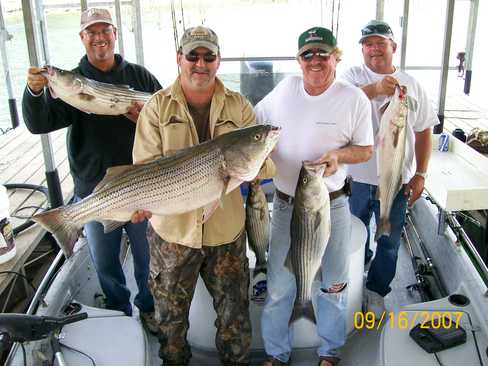 Nice Striped Bass