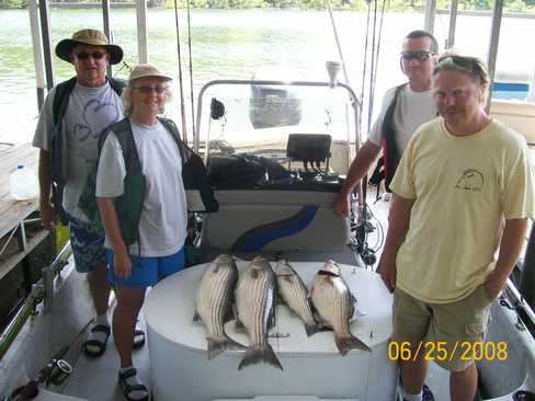 Nice Striped Bass