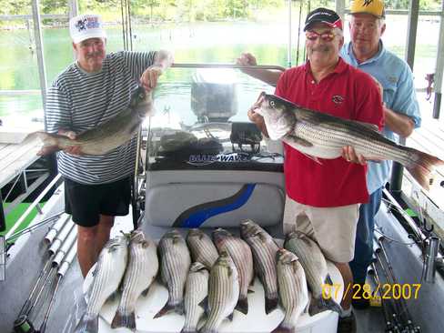 Nice Striped Bass