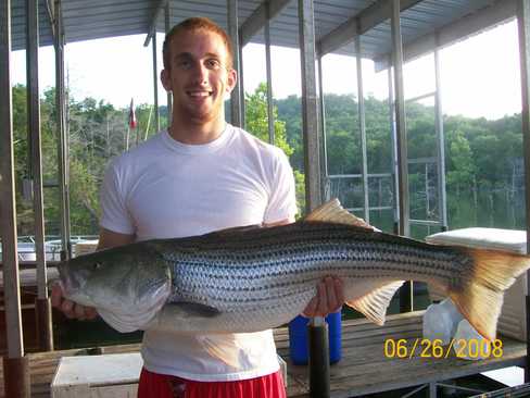 Nice Striped Bass