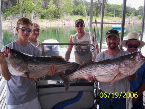 Nice Striped Bass