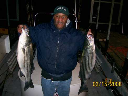 Nice Striped Bass