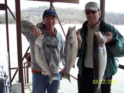 Nice Striped Bass