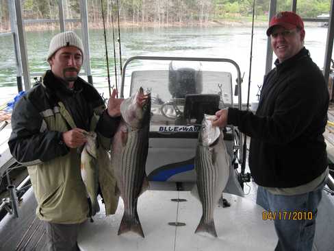 Nice Striped Bass