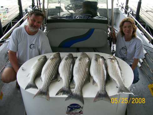 Nice Striped Bass