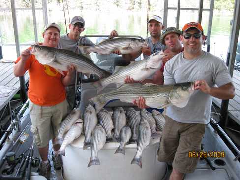 Nice Striped Bass