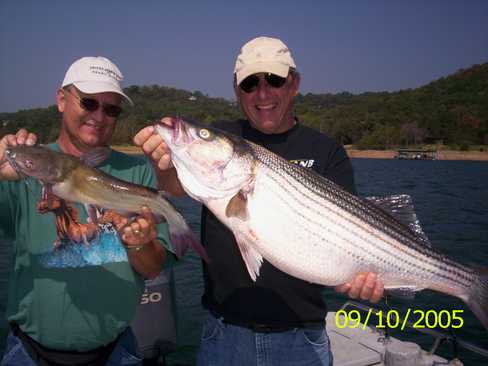 Nice Striped Bass