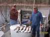 (01/02/2005) - Nice Striped Bass