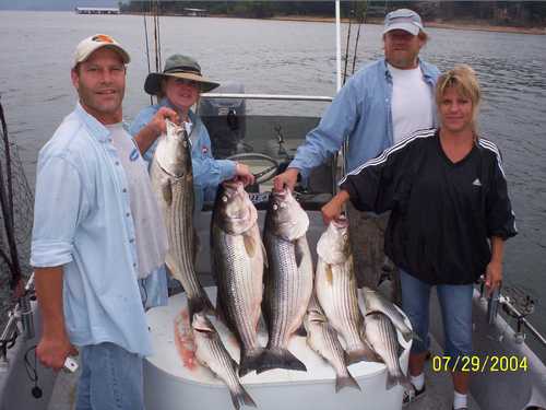 Excellent Striper Fishing