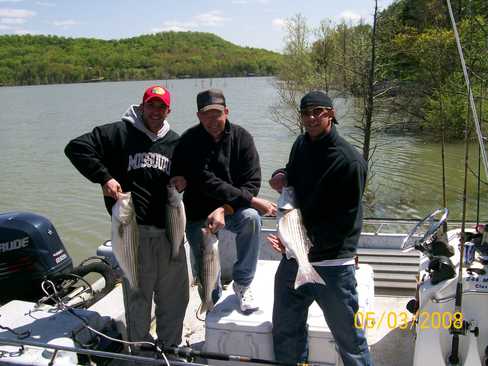 Nice Striped Bass