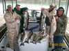 (04/09/2008) - Nice Striped Bass