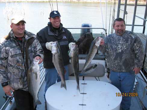 Nice Striped Bass
