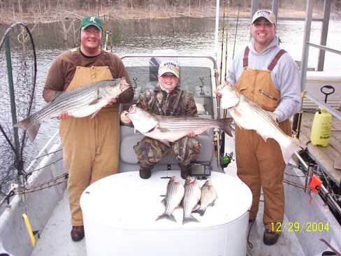 Nice Striped Bass