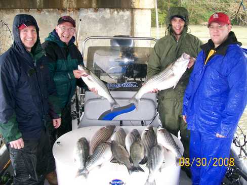 Nice Striped Bass