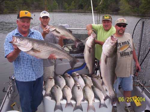 Nice Striped Bass