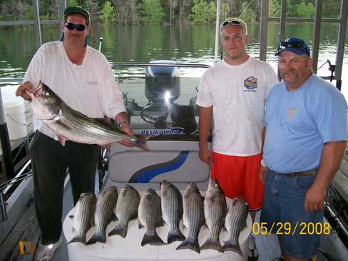 Nice Striped Bass