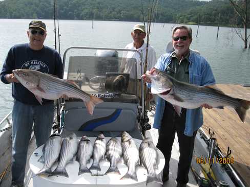 Nice Striped Bass